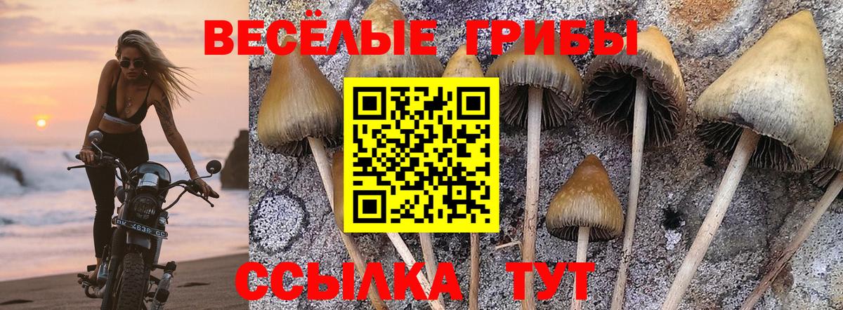 Псилоцибиновые грибы Magic Shrooms Новокуйбышевск