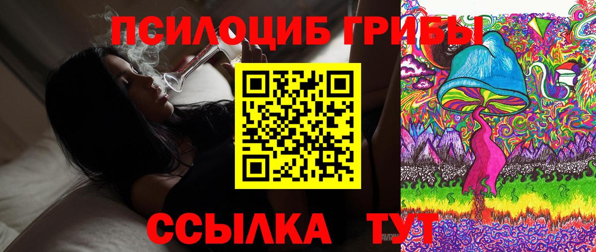 Новокуйбышевск  Псилоцибиновые грибы мухоморы  Вход с VPN  Псилоцибиновые грибы MAGIC MUSHROOMS 